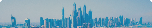 UAE Visa Banner